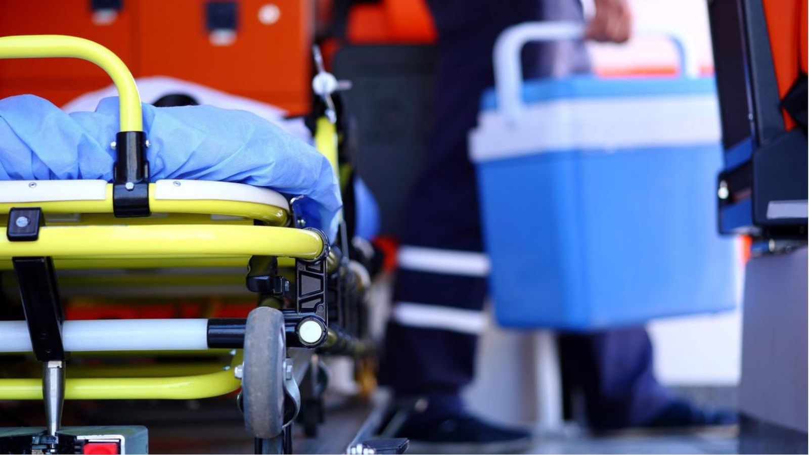 India’s Organ Transplant Gender Gap: Women Donate, Men Receive