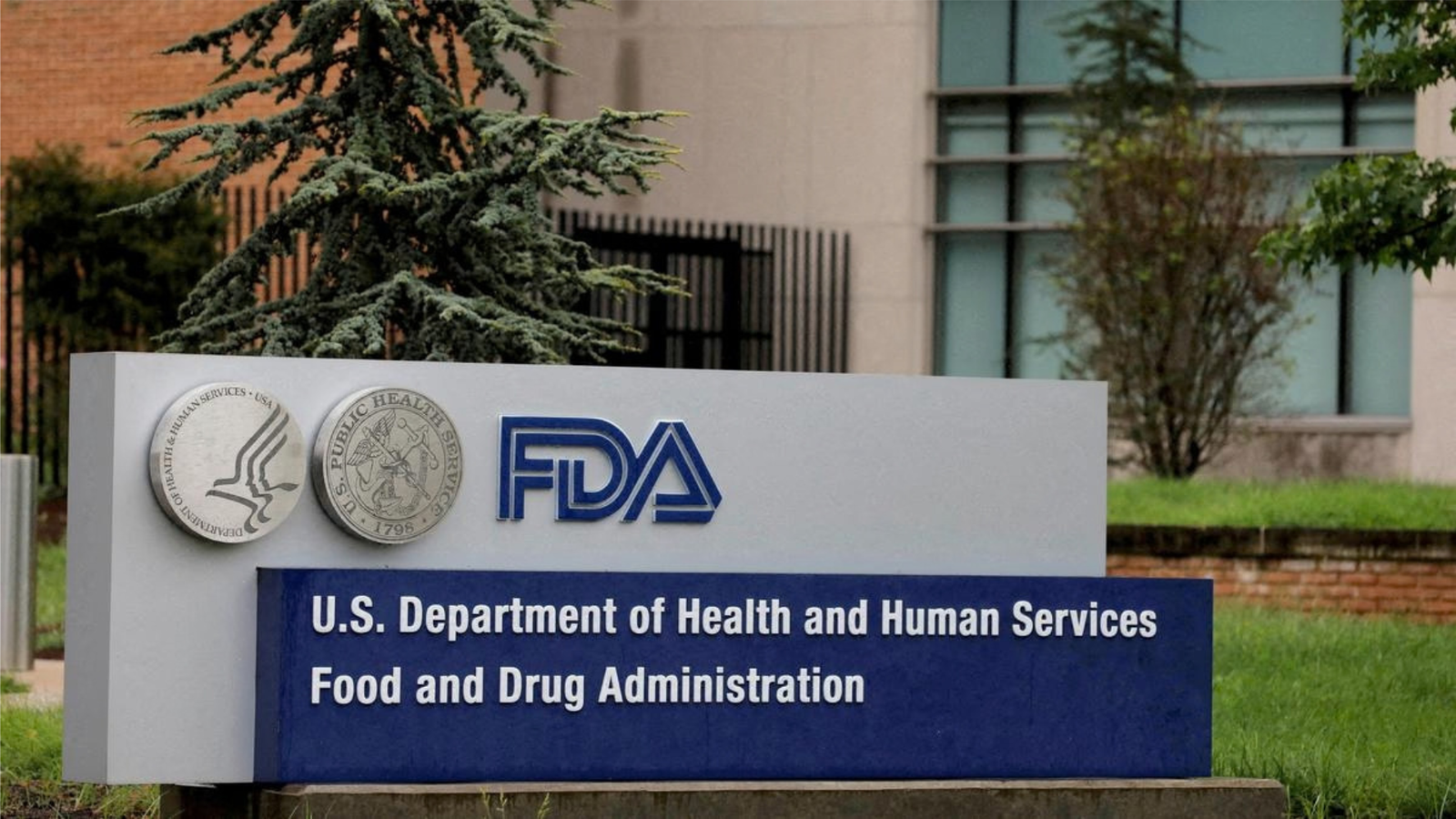 FDA Hearing Examines Safety of Psychedelic Therapies