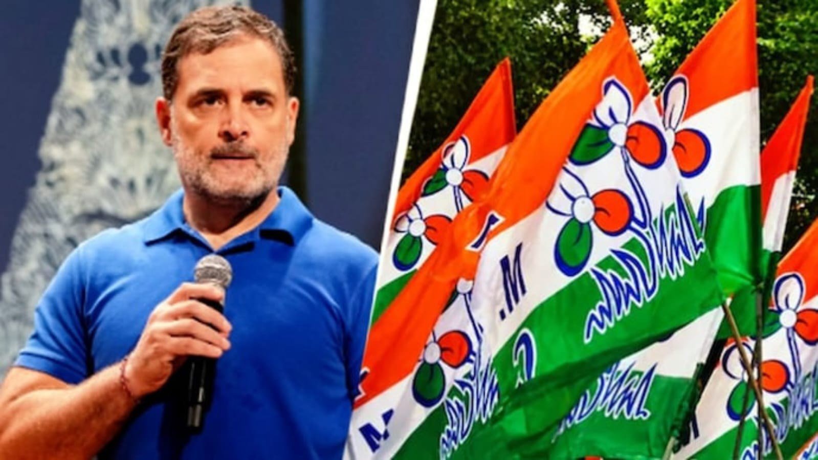 TMC नाम-चिन्ह फ्रीज होने पर राहुल गांधी ने EC पर साधा निशाना