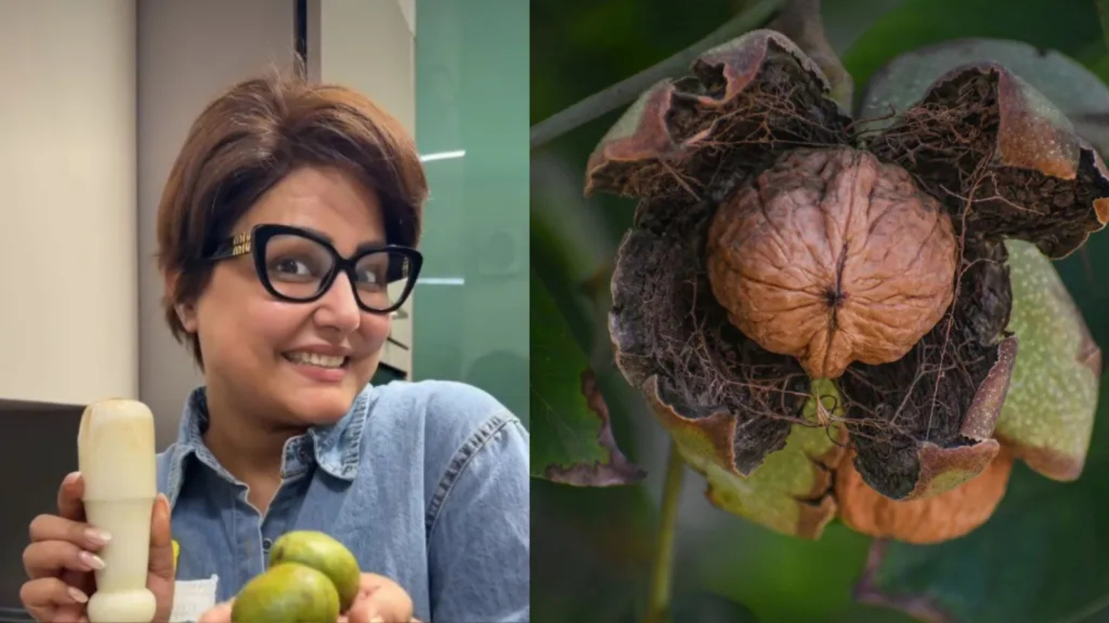 Fresh Green Walnuts vs Dried Walnuts: What’s the Difference?