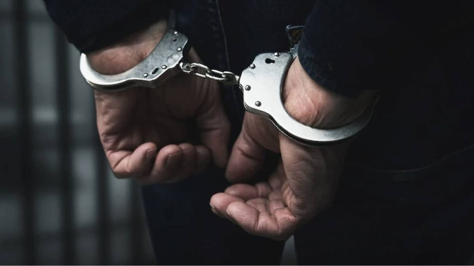 हैदराबाद में गणेश उत्सव के दौरान कथित मीट फेंकने के मामले में पुलिस की कार्रवाई।