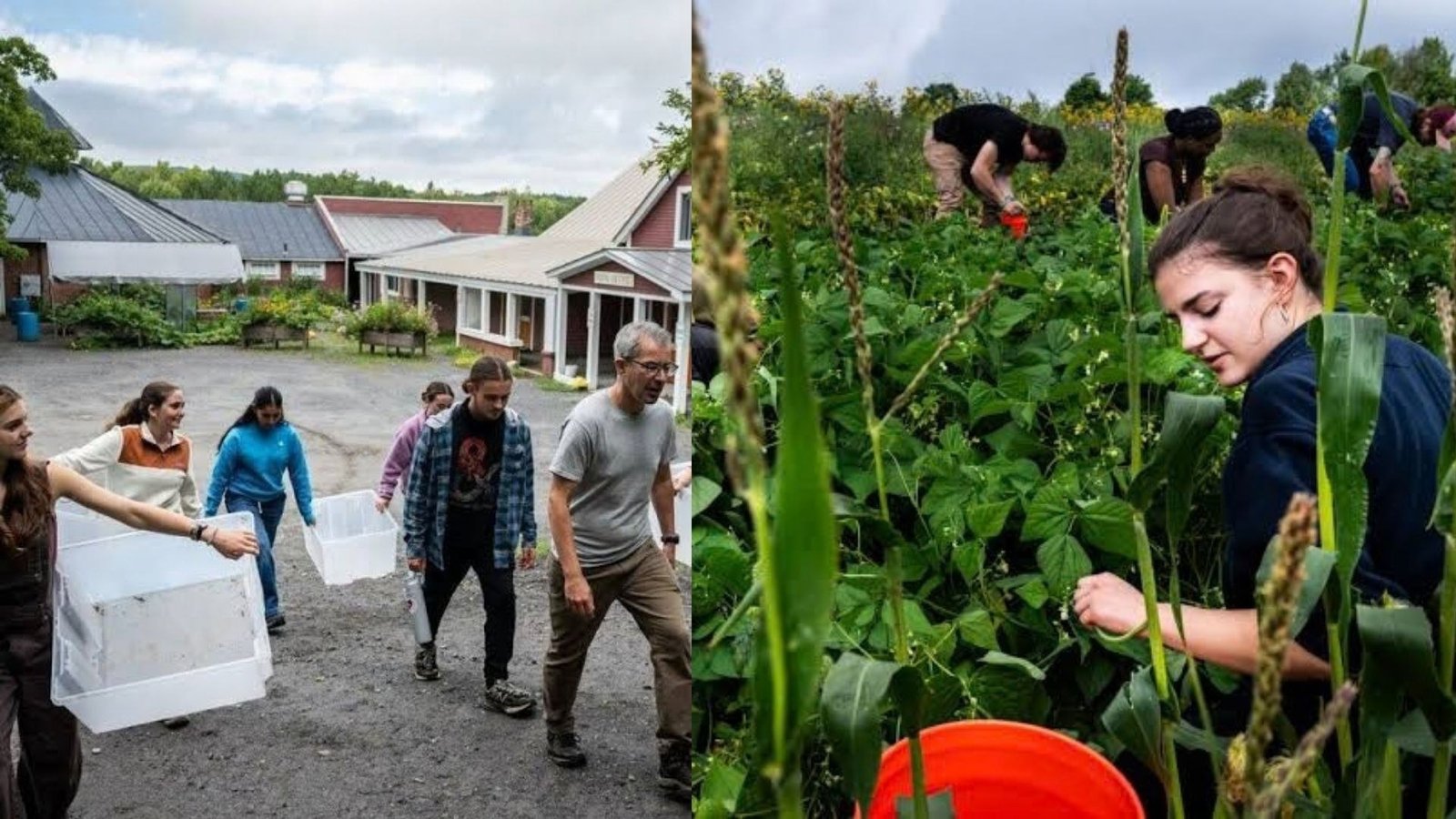 US School Charges $40,000 A Semester for Farmwork, Chores and Limited Screen Time