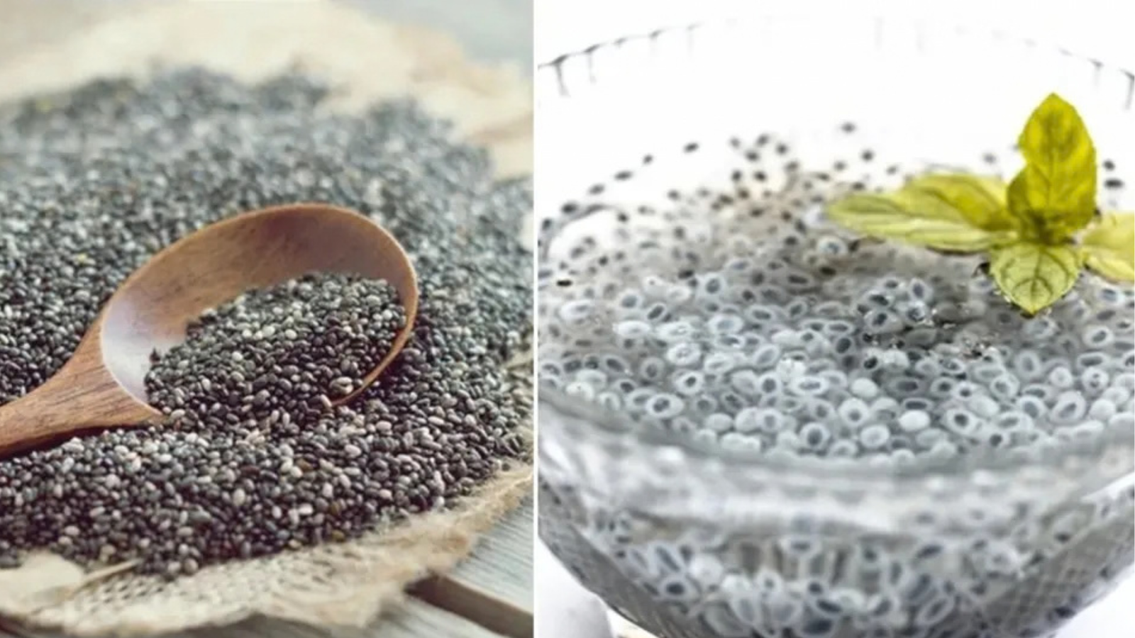Chia and Sabja Seeds: Benefits of Eating Them Together