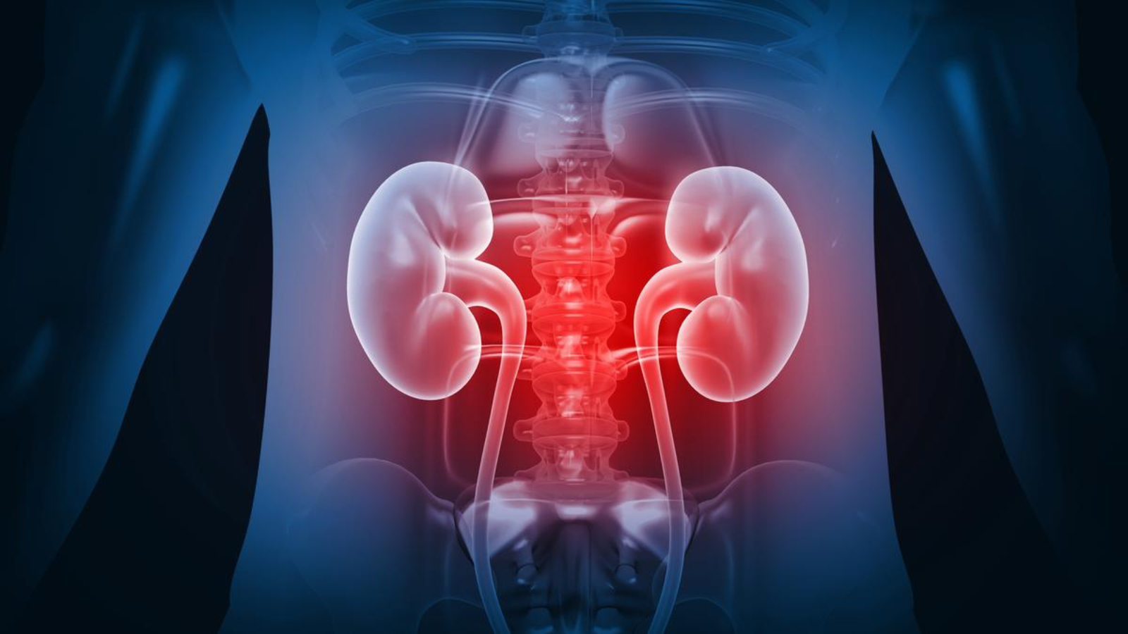 Painkillers, Antibiotics and Kidney Risk: CDSCO Warning