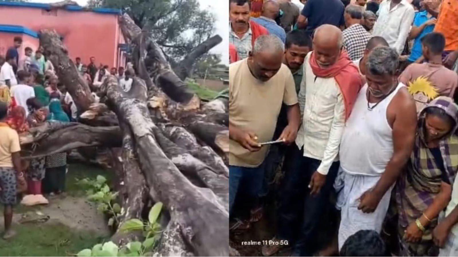 समस्तीपुर में स्कूल में गिरा बरगद, 2 छात्राओं की मौत
