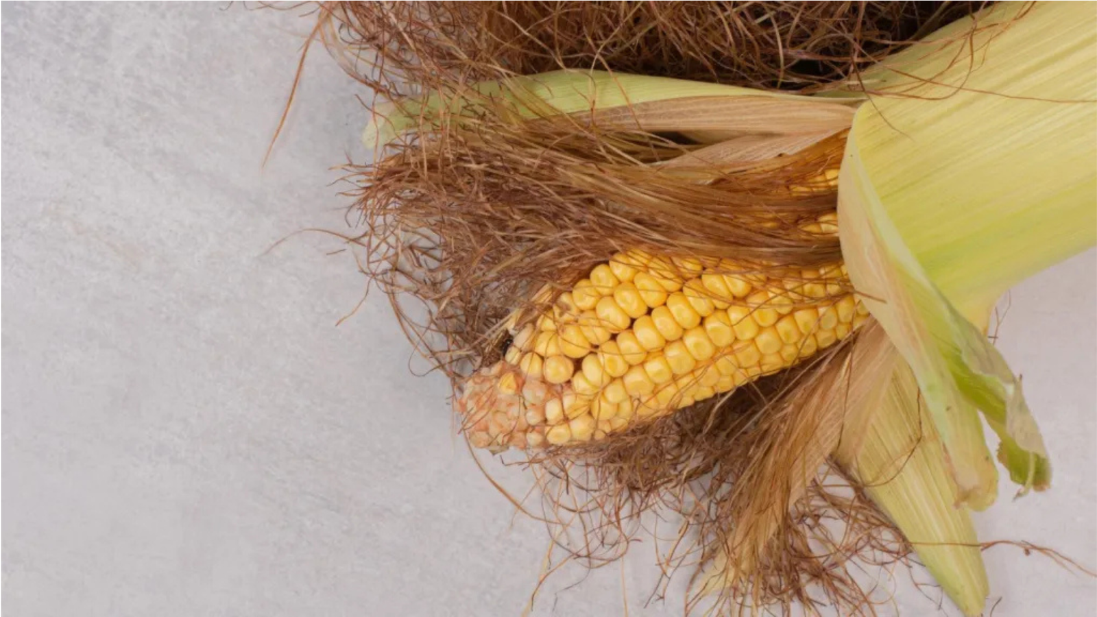 Corn Silk for Kidney Health: What Science Says