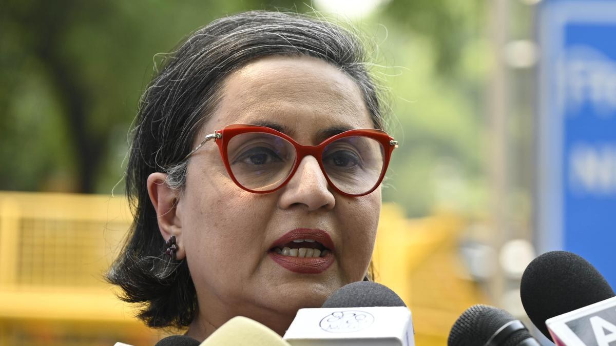 Panel on Simultaneous Elections Bills Faces Objection Over Witness List