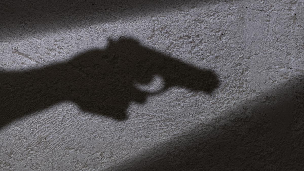 Anti-Drug Activist Parvinder Singh Shot Dead During Clash at Mansa Medical Store