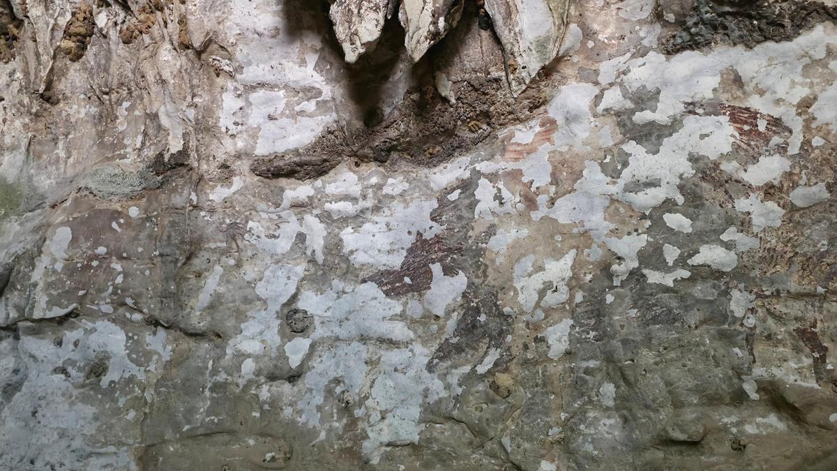 67,000-Year-Old Cave Paintings at Risk