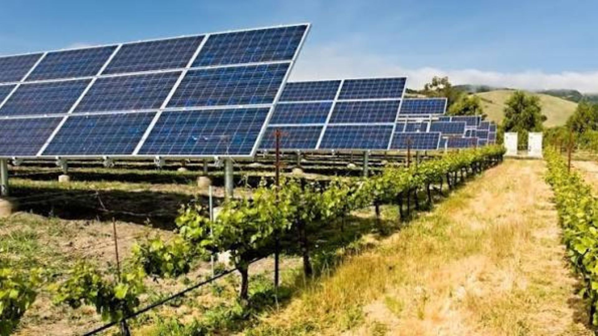 Agrivoltaics in India: UPSC GS 3 Practice Questions